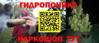 тгк Обь